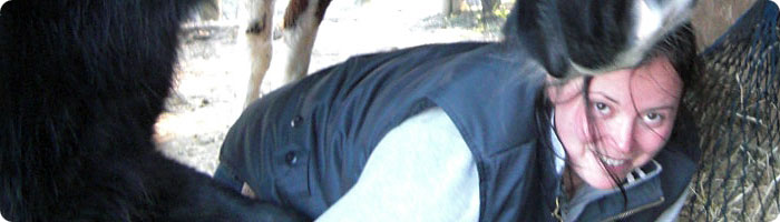 Danica Thomann, Barhufspezialistin